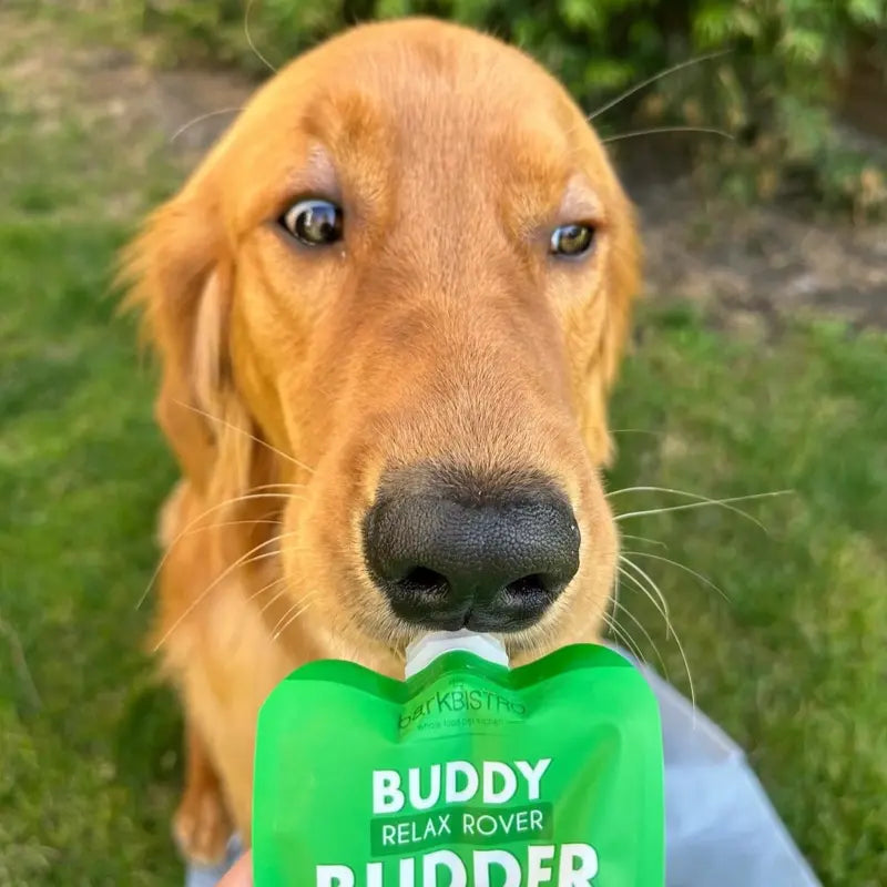 10Pk Mix Flavor Buddy Budder Squeeze Pouch (4Oz Each)- All Natural Dog Peanut Butter, Perfect with Dog Enrichment, Treating, Training, Traveling