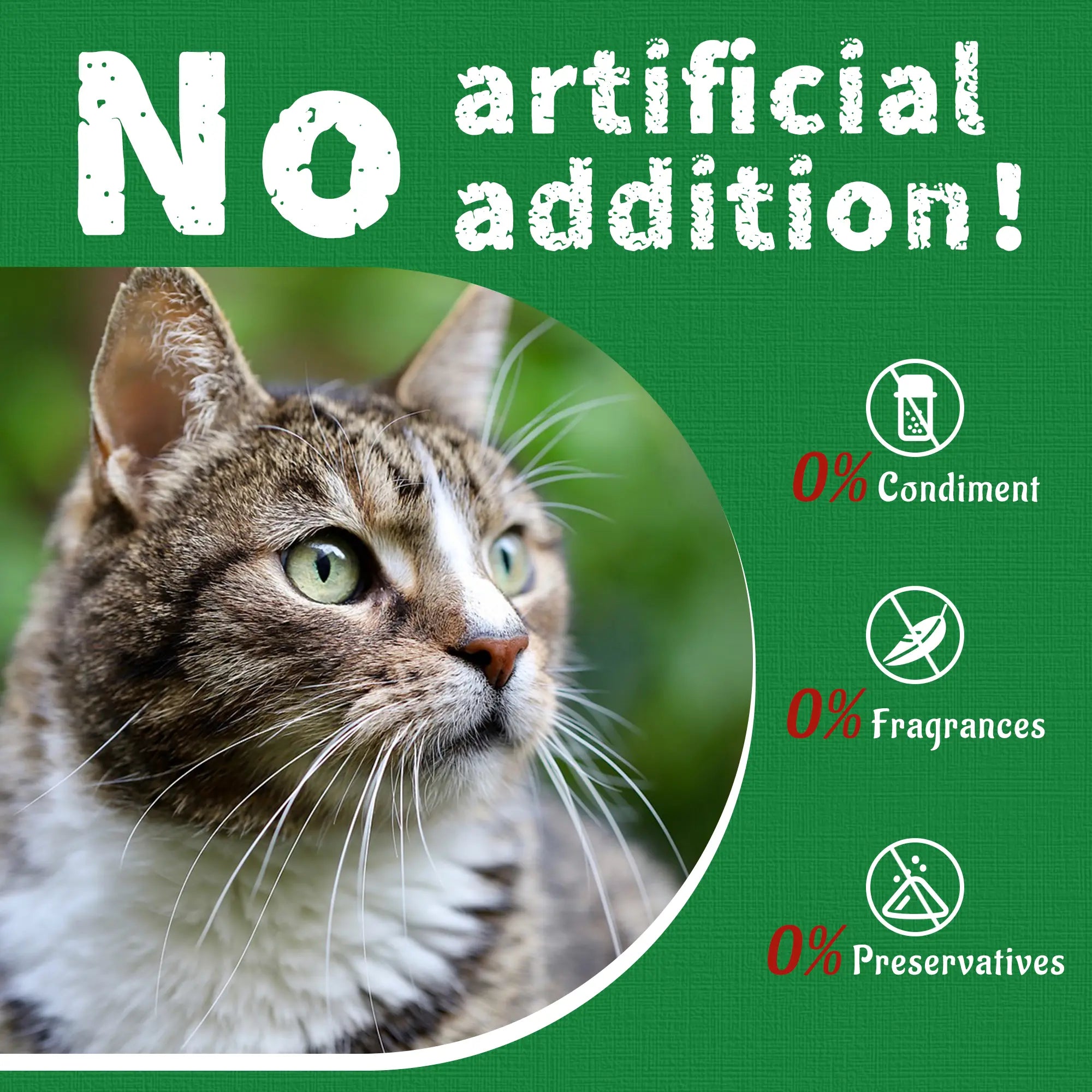JUST TRY Cat Grass Treats - Natural Healthy Cat Snacks Training Biscuits with Catnip for Cats Dental and Hairball Control Treats