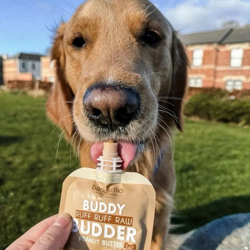 10Pk Mix Flavor Buddy Budder Squeeze Pouch (4Oz Each)- All Natural Dog Peanut Butter, Perfect with Dog Enrichment, Treating, Training, Traveling
