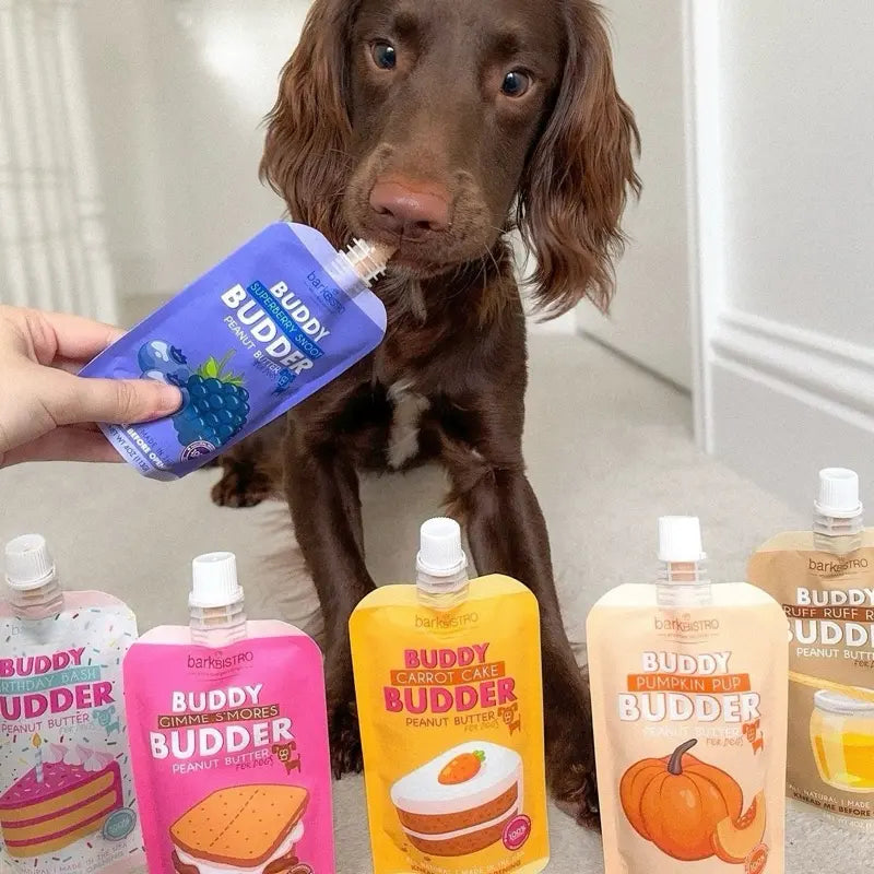 10Pk Mix Flavor Buddy Budder Squeeze Pouch (4Oz Each)- All Natural Dog Peanut Butter, Perfect with Dog Enrichment, Treating, Training, Traveling
