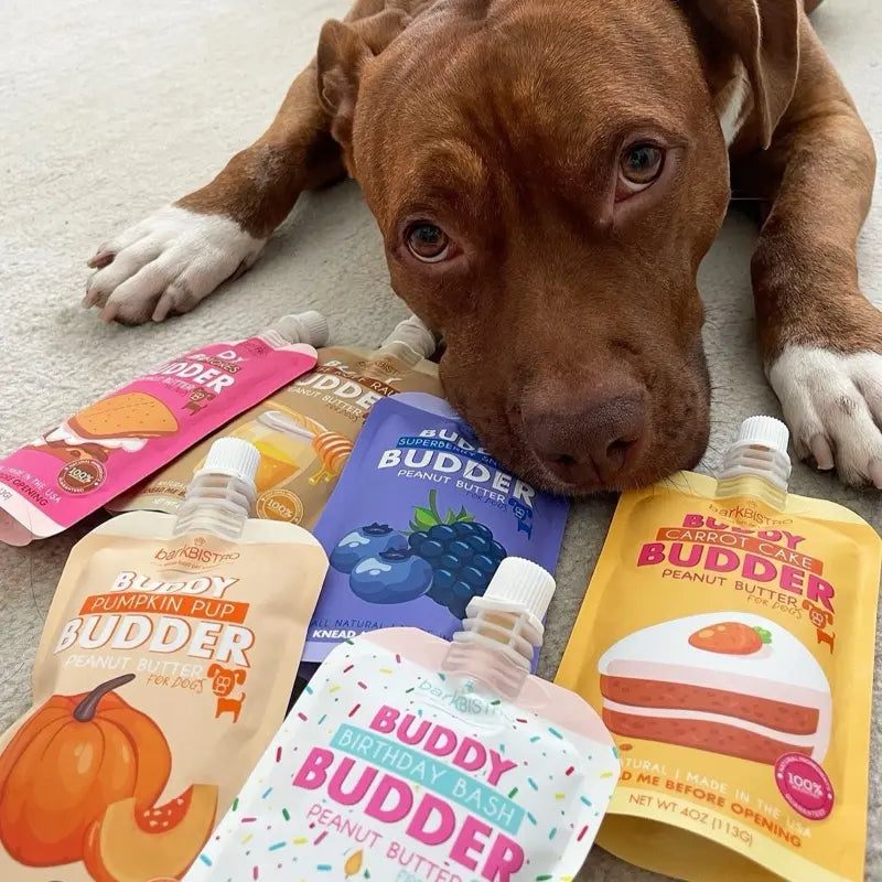 DOG ENRICHMENTS