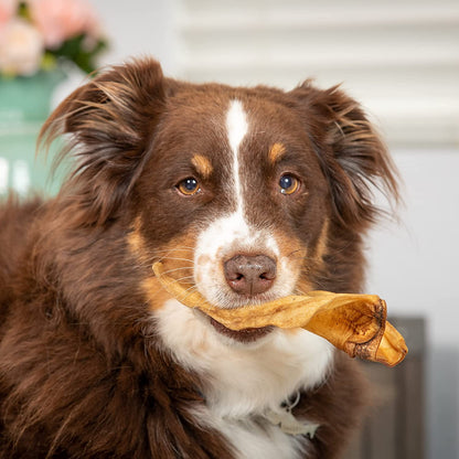 Water Buffalo Dog Chews - 7 Pack of Long Lasting, Grain &amp; Gluten Free Treats, Perfect for Dogs