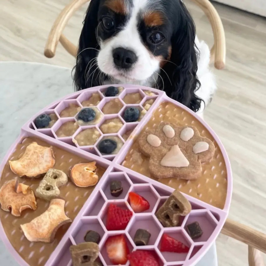 3Pk Bangin Bacon Buddy Budder - Dog Peanut Butter Squeeze Pouch (4Oz Each), All Natural, Perfect for Dog Enrichment, Training, Treating, Travel