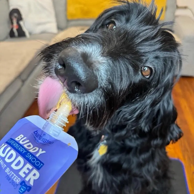 10Pk Mix Flavor Buddy Budder Squeeze Pouch (4Oz Each)- All Natural Dog Peanut Butter, Perfect with Dog Enrichment, Treating, Training, Traveling