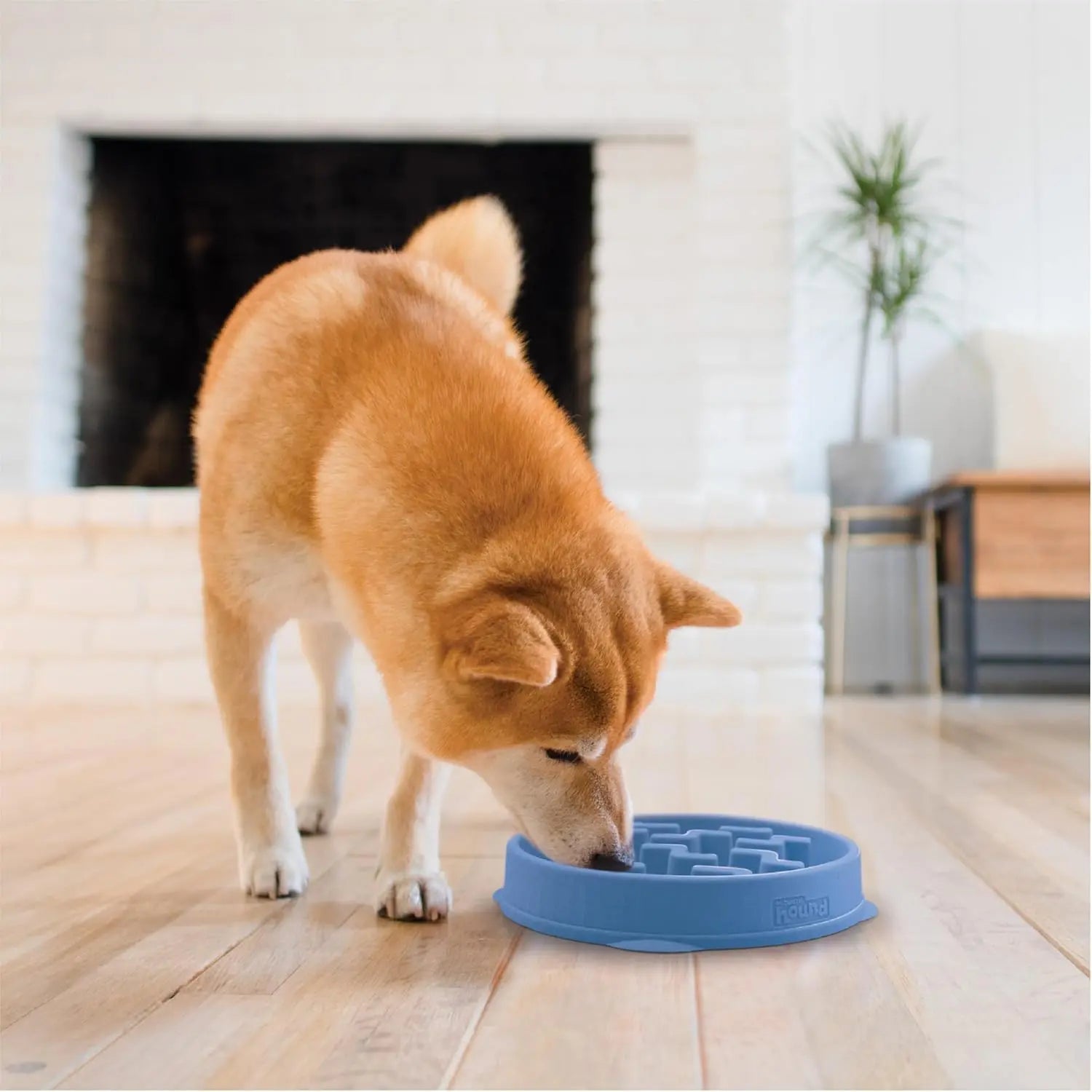 Outward Hound Fun Feeder Slo Bowl, Medium Slow Feeder Dog Bowl, 2 Cups, Blue