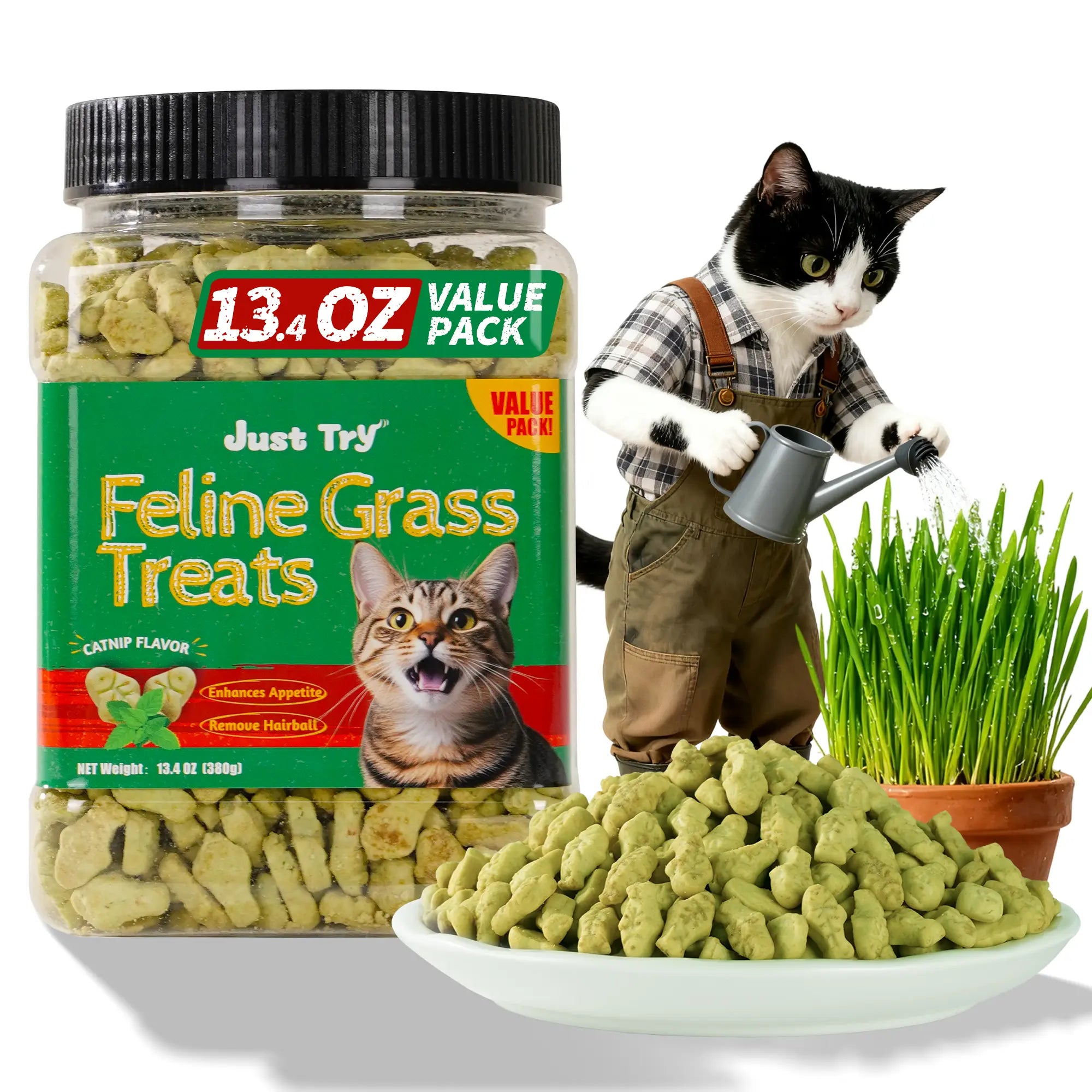 JUST TRY Cat Grass Treats - Natural Healthy Cat Snacks Training Biscuits with Catnip for Cats Dental and Hairball Control Treats