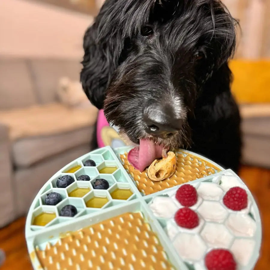 3Pk Bangin Bacon Buddy Budder - Dog Peanut Butter Squeeze Pouch (4Oz Each), All Natural, Perfect for Dog Enrichment, Training, Treating, Travel