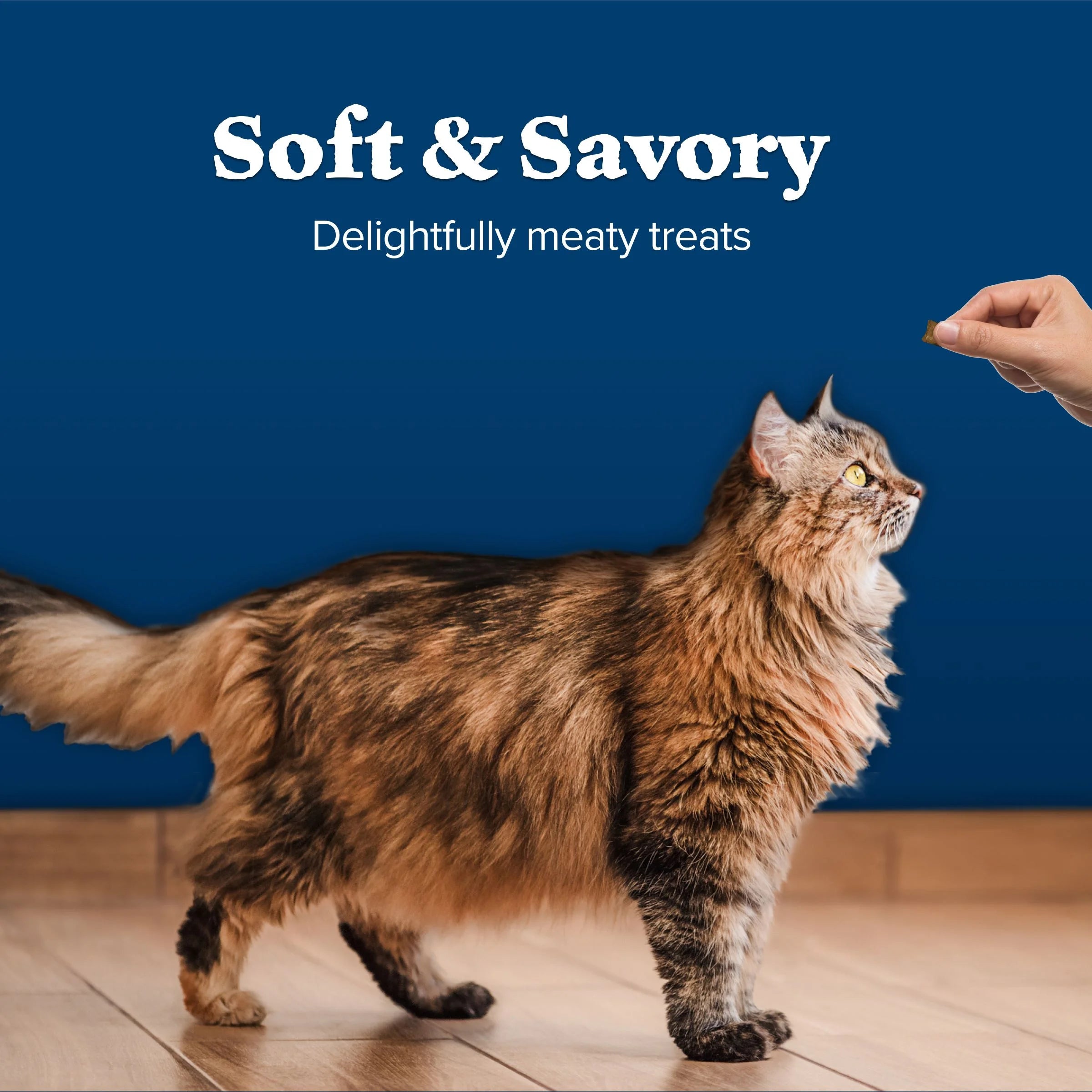 Wilderness Chicken &amp; Salmon Flavor Dry Soft Treats for Cats, Grain-Free, 2 Oz. Bag