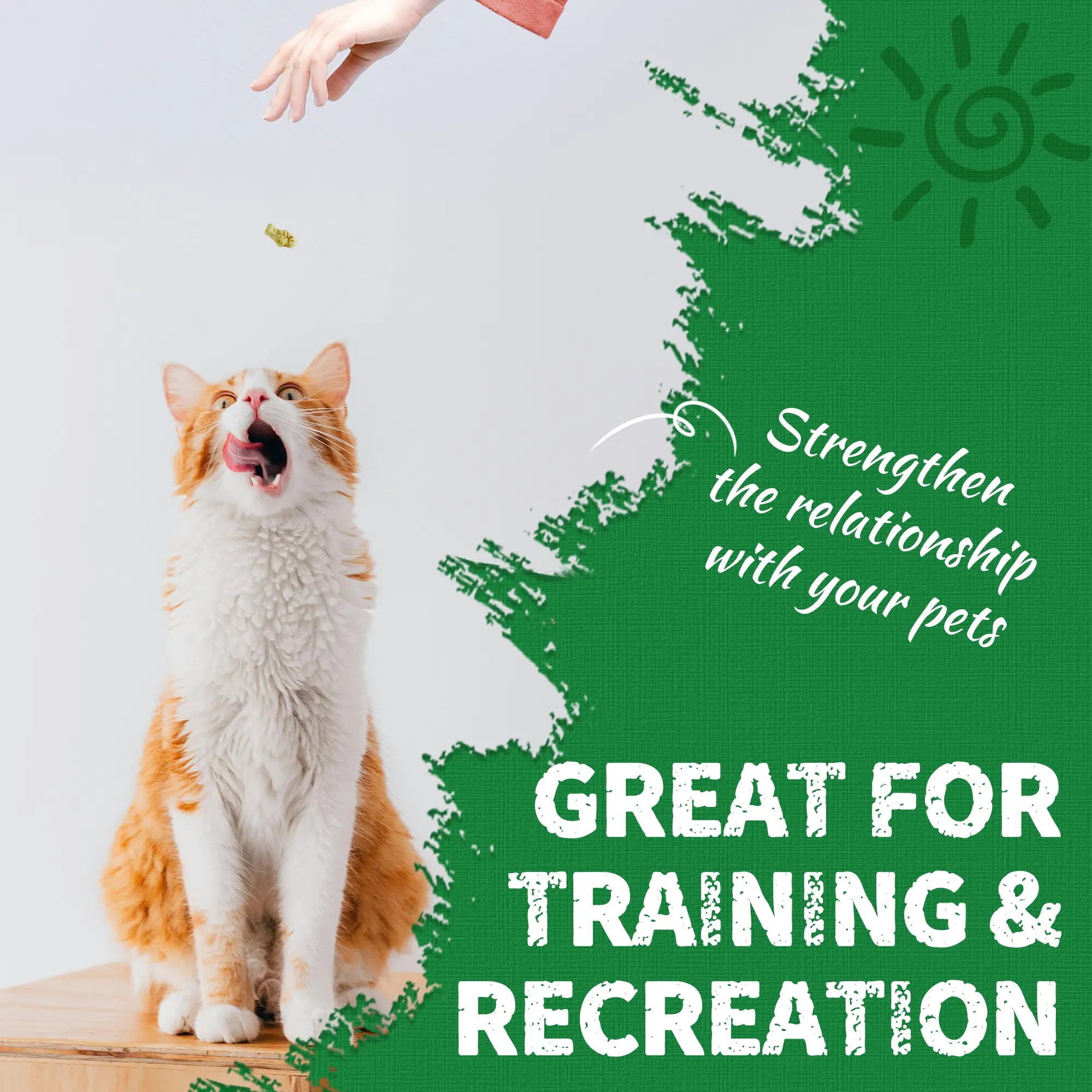 JUST TRY Cat Grass Treats - Natural Healthy Cat Snacks Training Biscuits with Catnip for Cats Dental and Hairball Control Treats